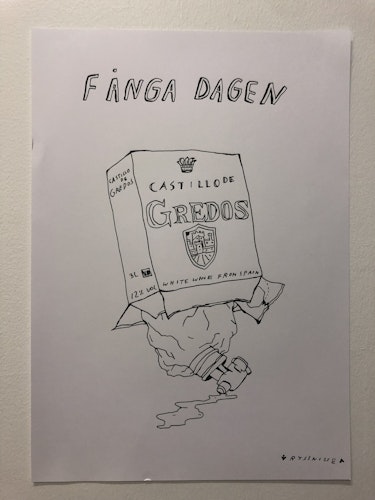 fånga dagen