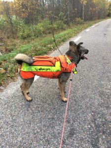 Hundväst Protectiv LUX MED GPS Ficka