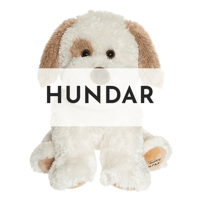 Hundar - Teddykompaniet