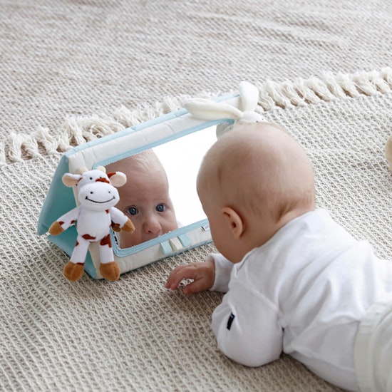 Diinglisar Babyspegel, 27x17cm