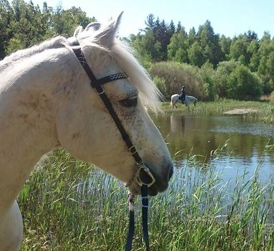 Fång, eksem och EMS - det här hjälpte oss