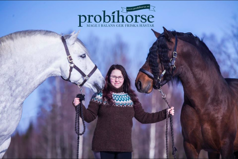 Srnordica om Odins resa med Probihorse