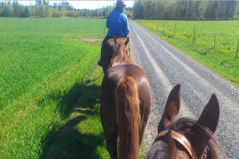 Min hovvårdare frågade vad jag hade gjort