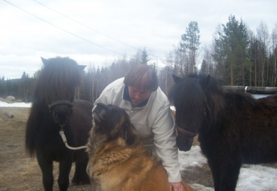 Häst och hund