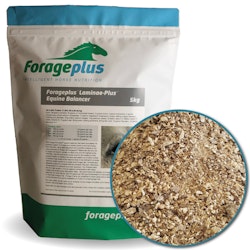 ForagePlus Laminae-Plus Balancer, 5 kg