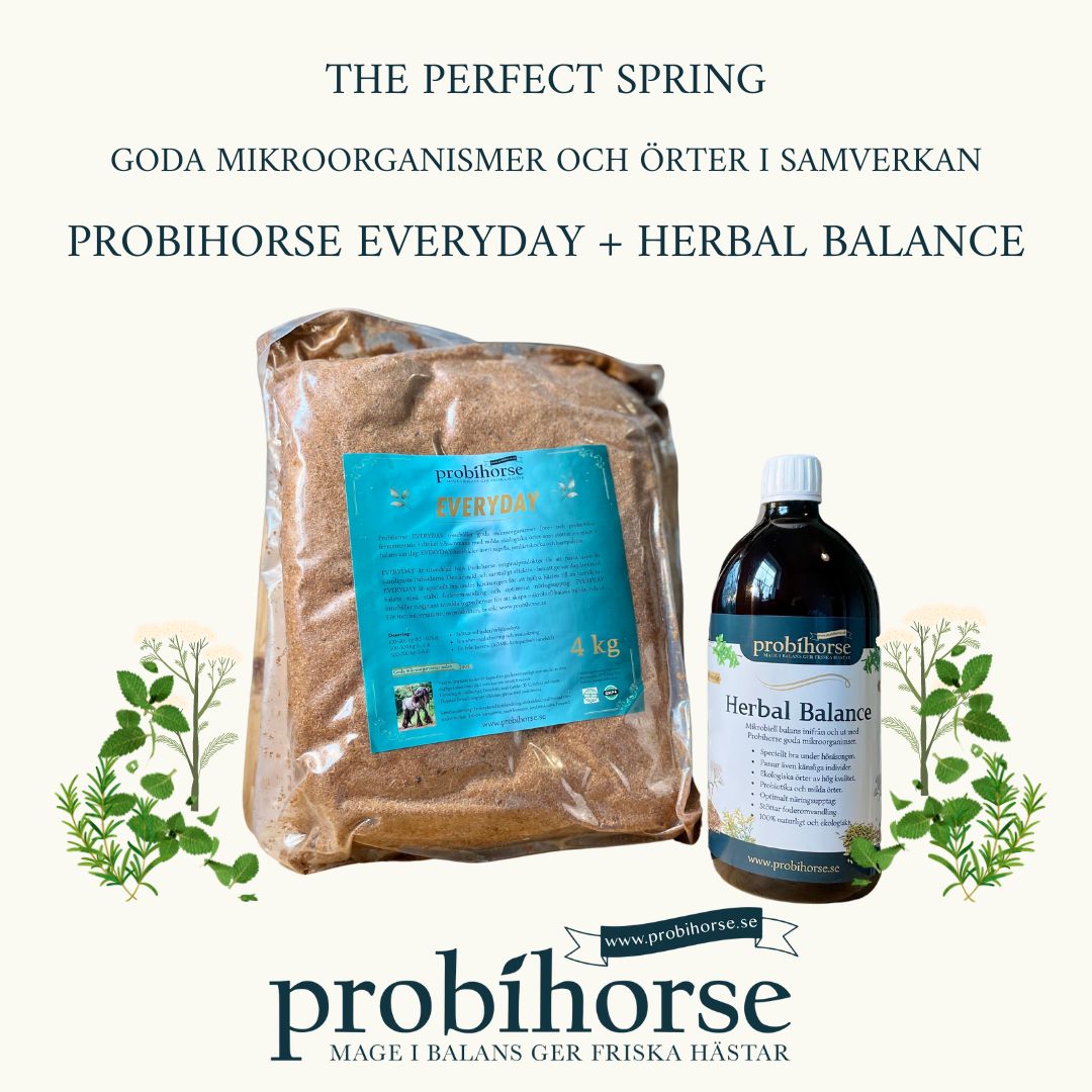 Herbal Balance by Probihorse, 1-3 Liter