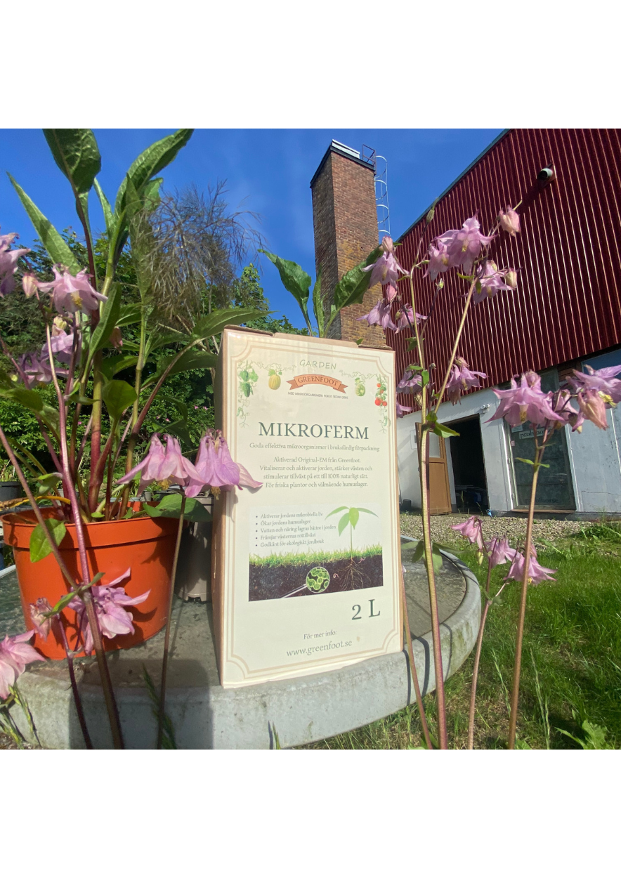 Mikroferm 2 Liter Bag-in-box