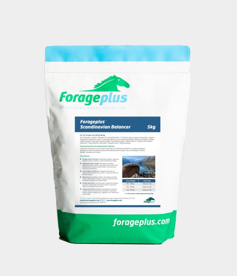 Forageplus Scandinavian Balancer 5 kg