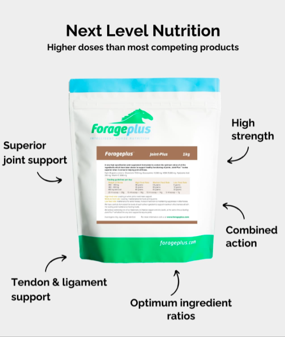 Joint Plus från Forageplus, 1 kg