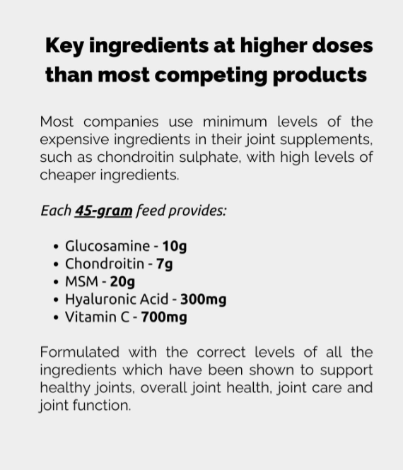 Joint Plus från Forageplus, 1 kg