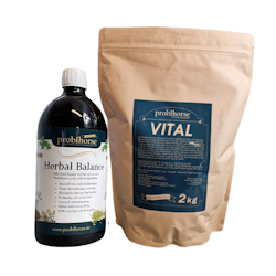 10% RABATT - Tillfälligt PAKETERBJUDANDE: Vital 2 kg + Herbal Balance