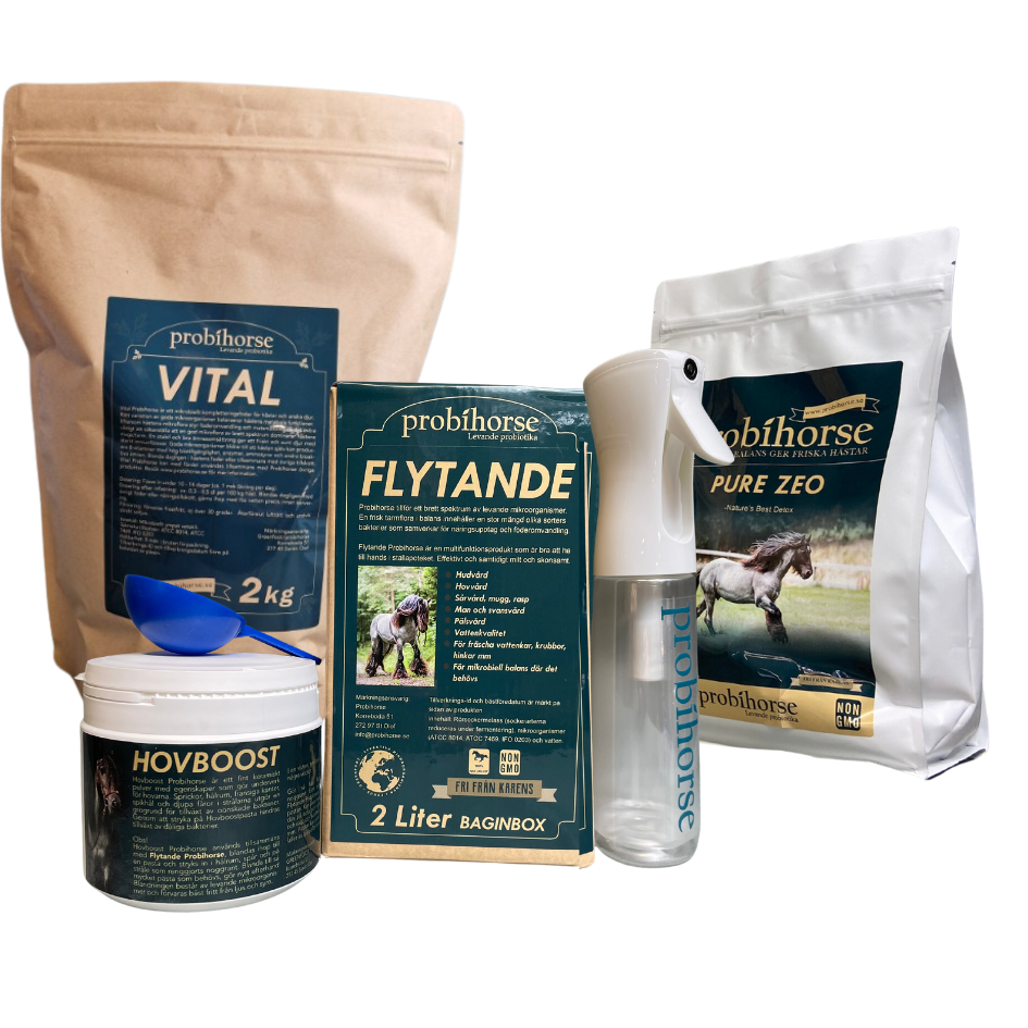 HOVPAKET: Nordic Winter