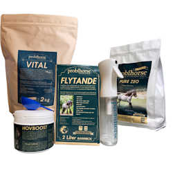 HOVPAKET: Nordic Winter