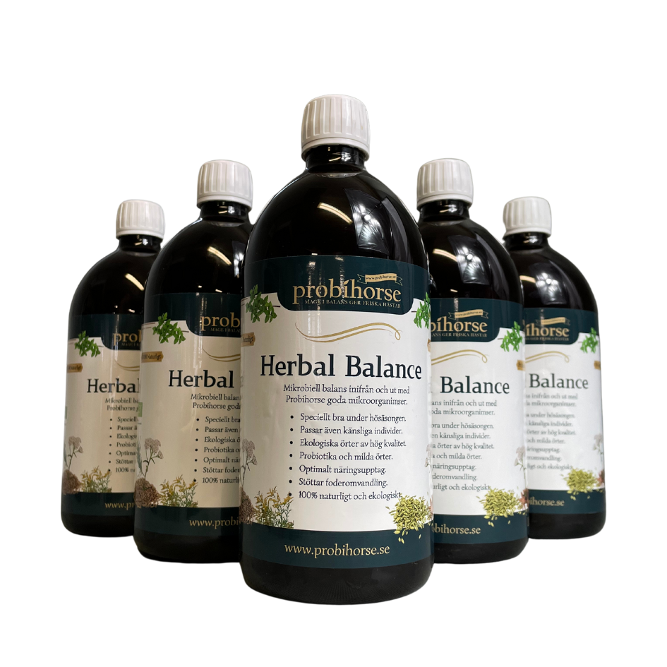 5 L Herbal Balance (5 x 1 Liter)