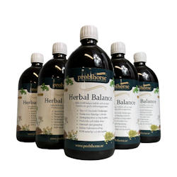 5 L Herbal Balance (5 x 1 Liter)
