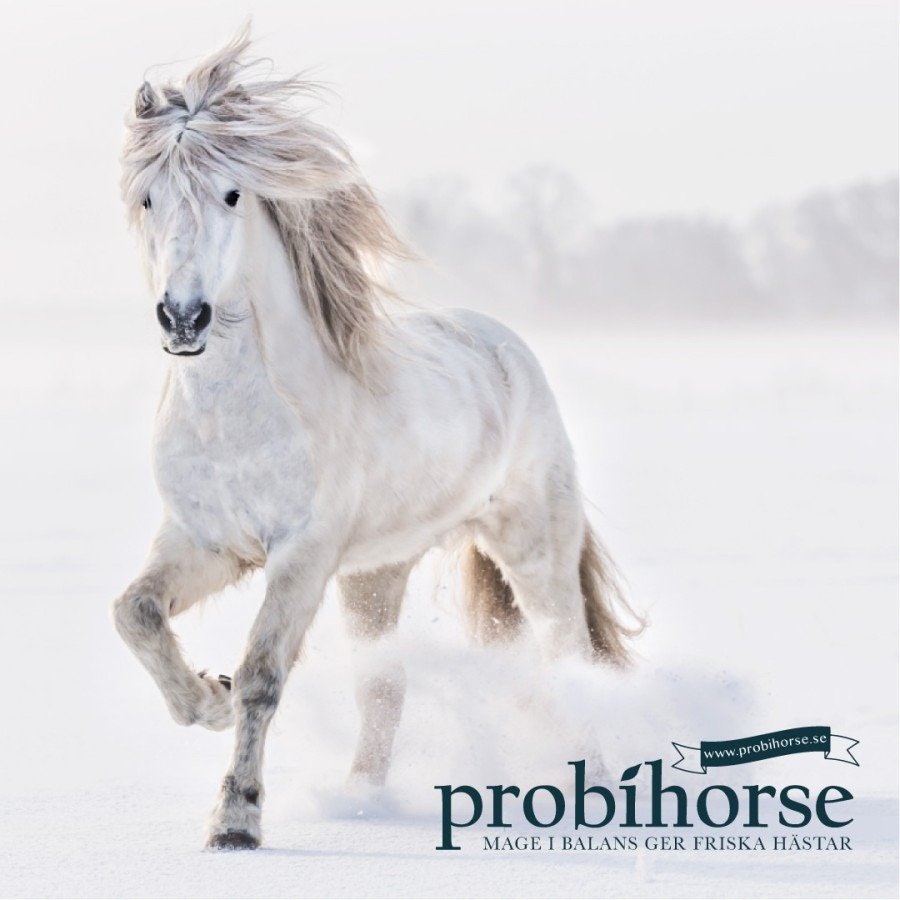 Probihorse