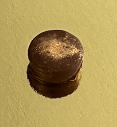 Vår egen: Dubai pralin (Finns doppad i mörk eller mjölk choklad)
