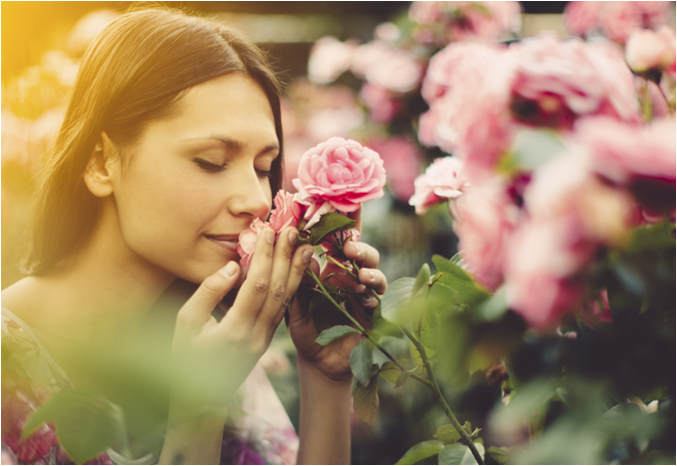 Mästare på Mindfulness på 5 minuter