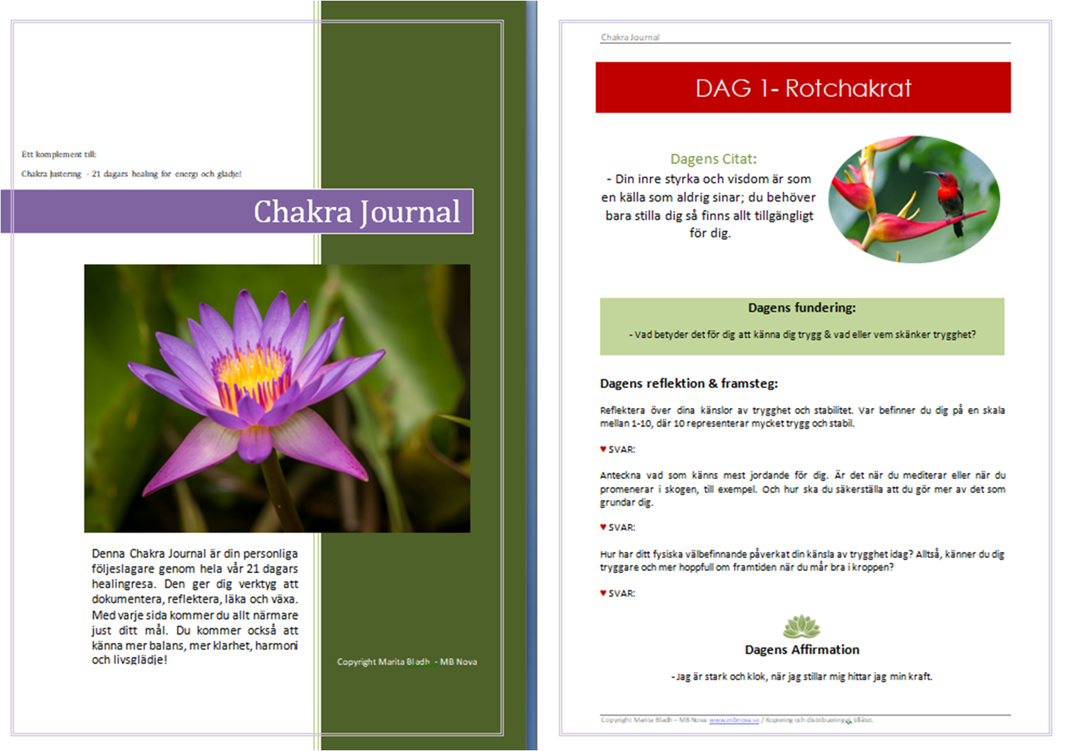 Kopia Chakra Justering - 21 Dagars Healing Retreat på distans för energi och glädje