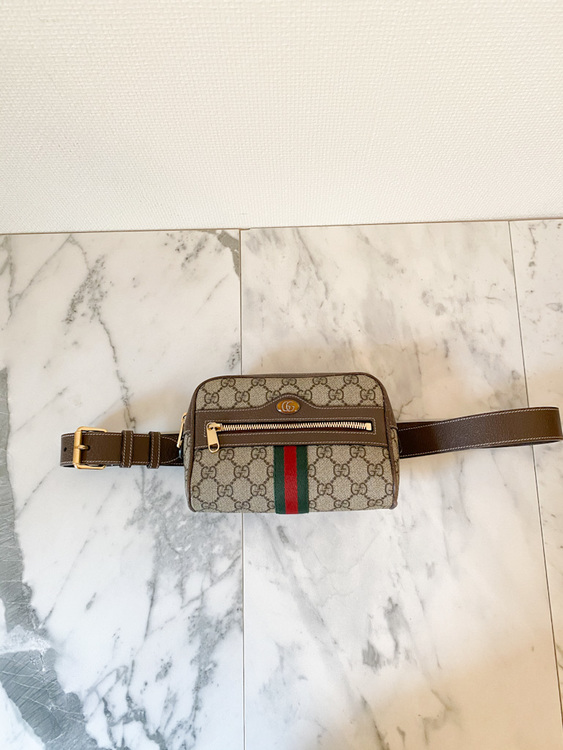Gucci Ophidia GG Belt Bag