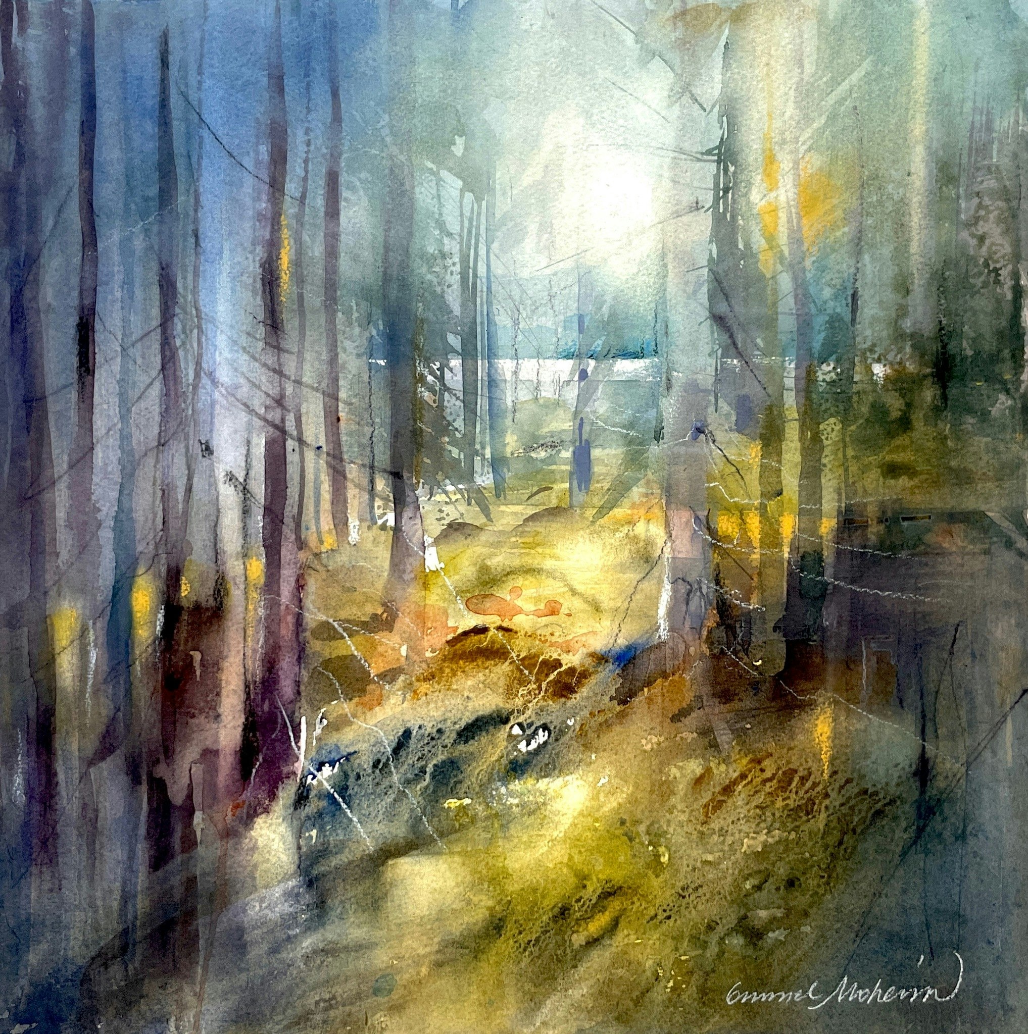 Morning Light