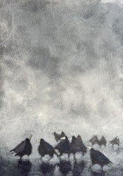 Råkallt