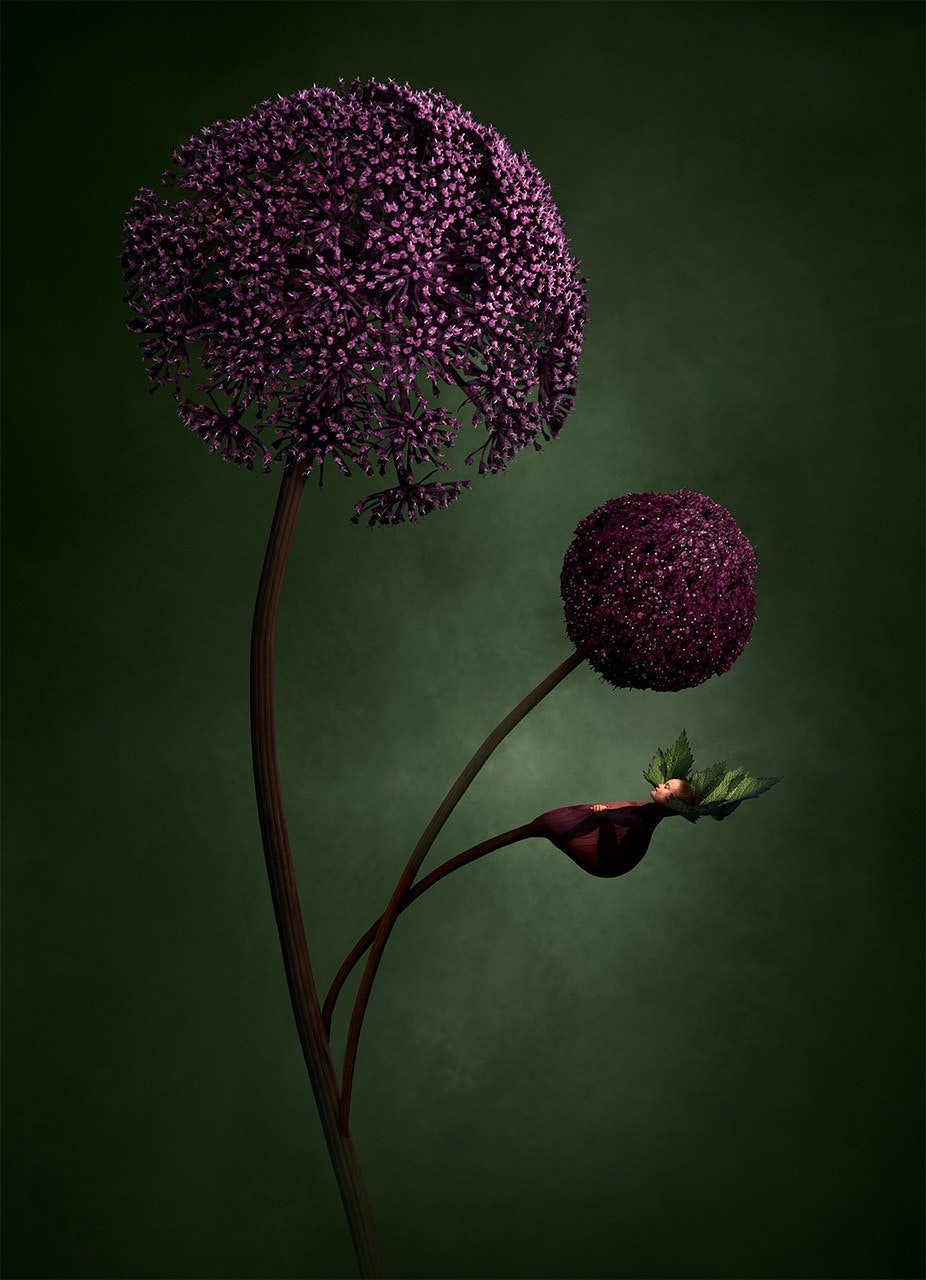 Mother Nature II