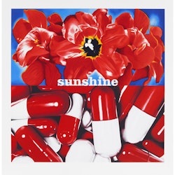 Sunshine Daydream