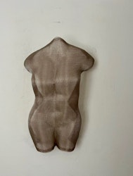 Torso