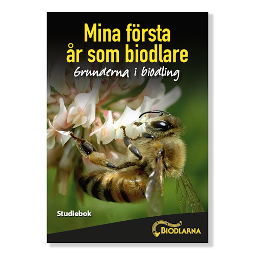 Mina första år som biodlare