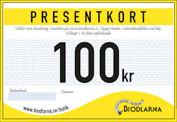 Presentkort 100 kr