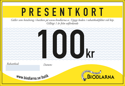 Presentkort 100 kr