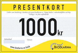 Presentkort 1000 kr