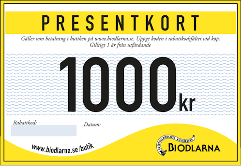 Presentkort 1000 kr