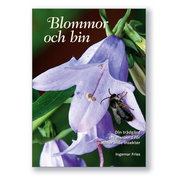 Blommor och Bin