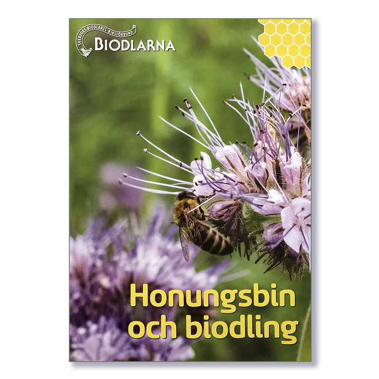 Honungsbin och biodling
