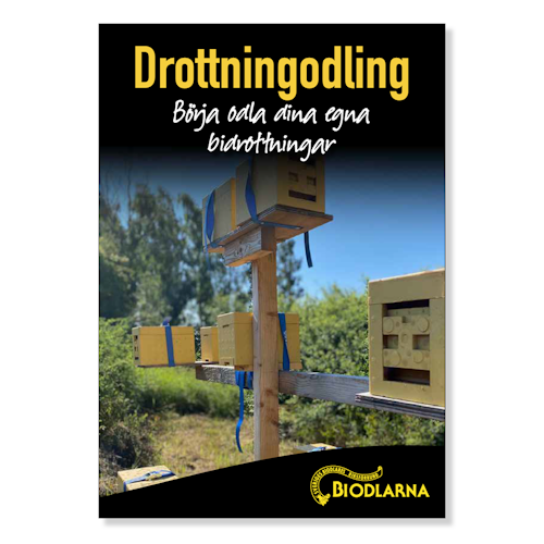 Drottningodling - Börja odla dina egna drottningar