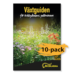 Växtguiden - för trädgårdens pollinerare - 10-pack