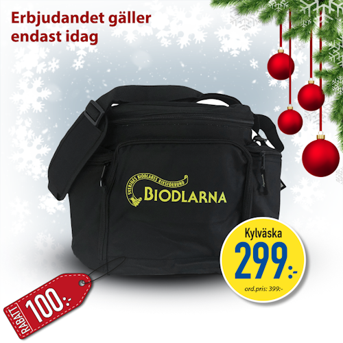 Julkalendererbjudande - kylväska