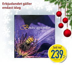 Julerbjudande Binära upplevelser