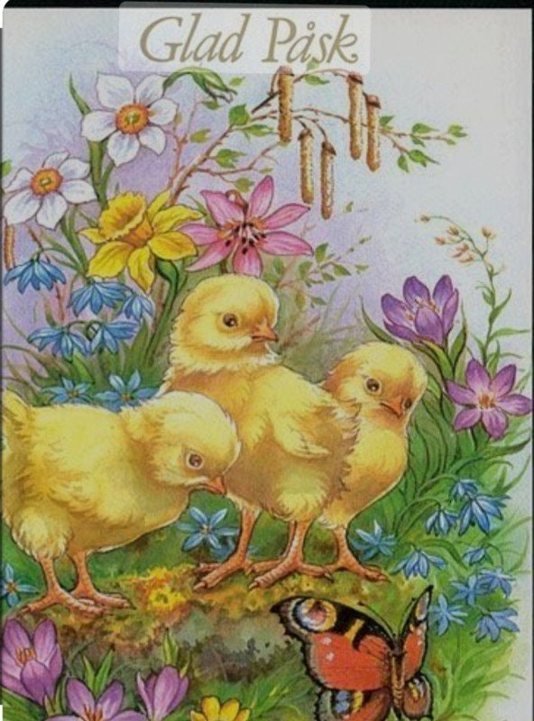 GLAD PÅSK