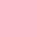 DecoArt Americana Poodleskirt Pink