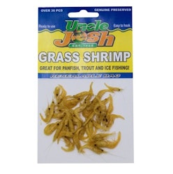 Grass Shrimp