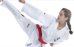 TOP TEN: ITF TAEKWON-DO DRÄKT DIAMOND FÄRGBÄLTEN
