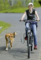 Hållare för Hundkoppel Cykel