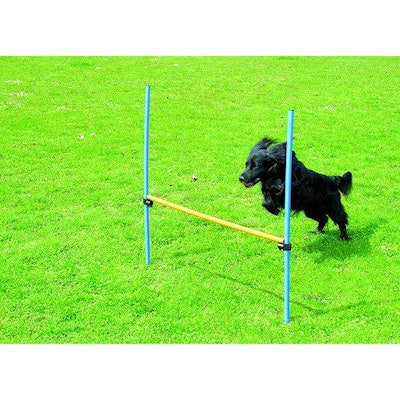 Hund agility hinder höjd 116cm