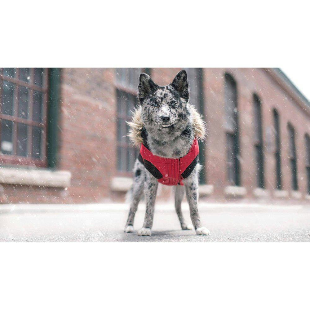 Canada Pooch Pole Parka Röd - Hundbursbutiken.se