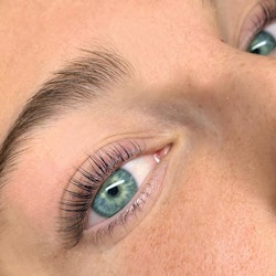 Webb-koulutus Lash Lift ja Brow Lamination