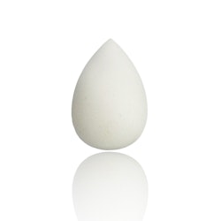 Beauty Blender Belle