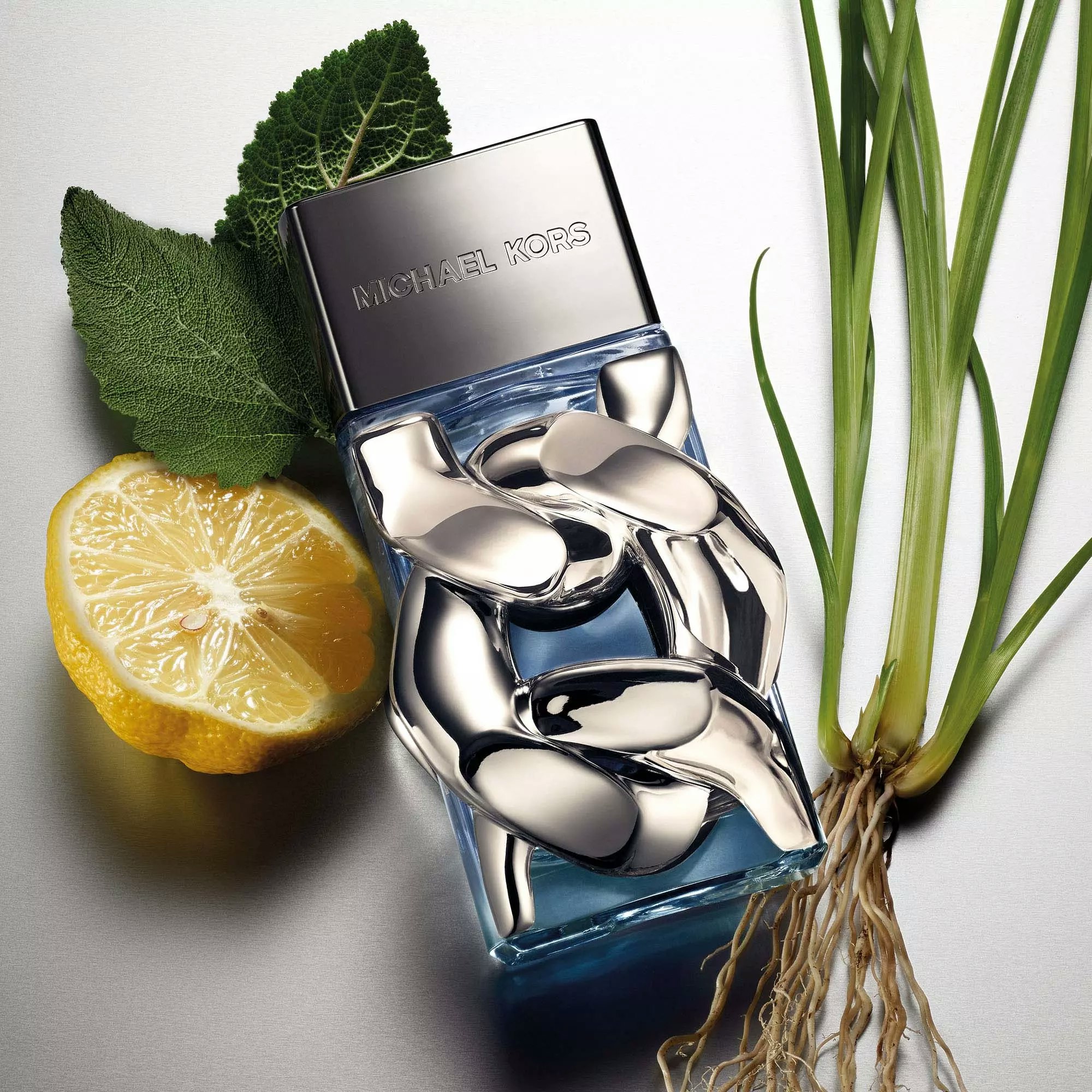 Michael Kors Pour Homme Edp 100ml